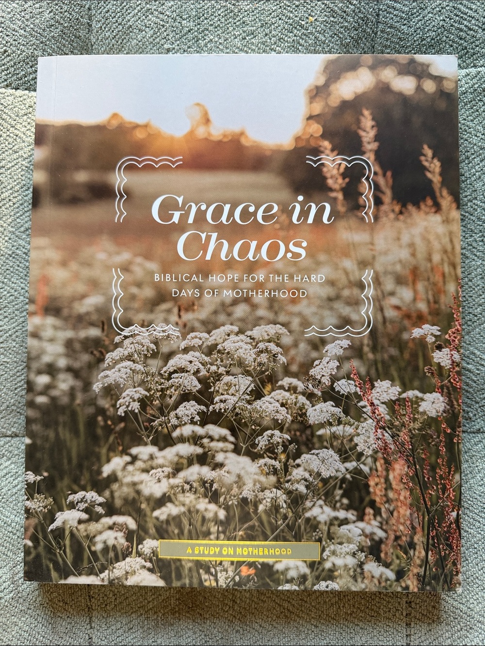 Daily Grace Co Study